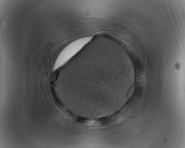 X0000098000319200804211138