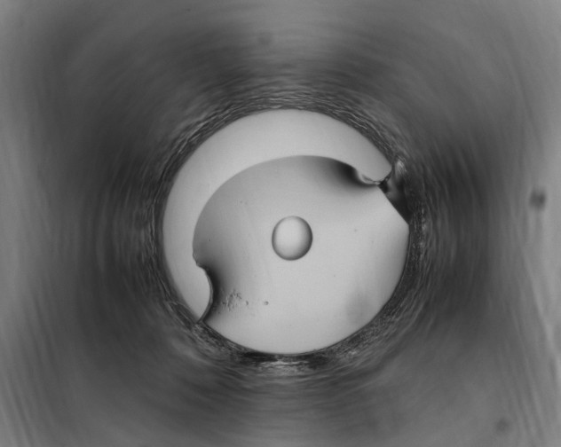 X0000098000320200804211138