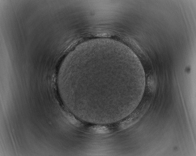 X0000098000322200804211138