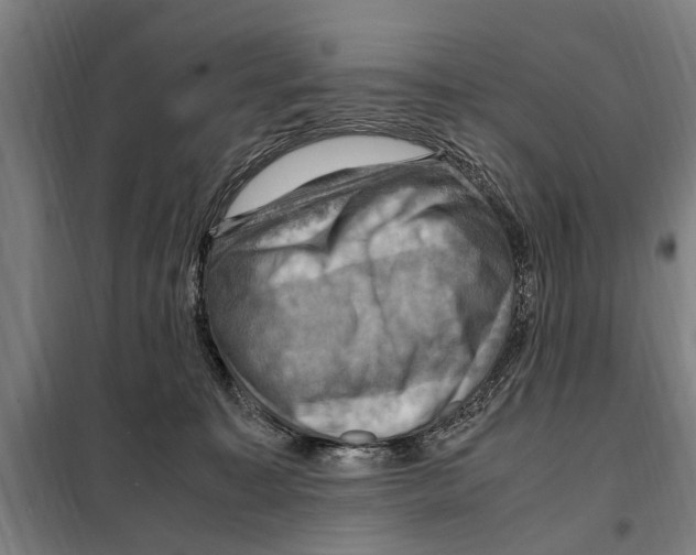 X0000098000323200804211138