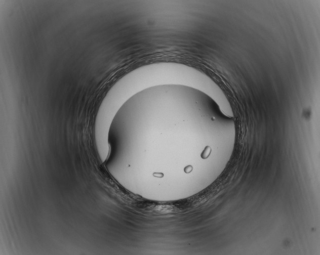 X0000098000324200804211138