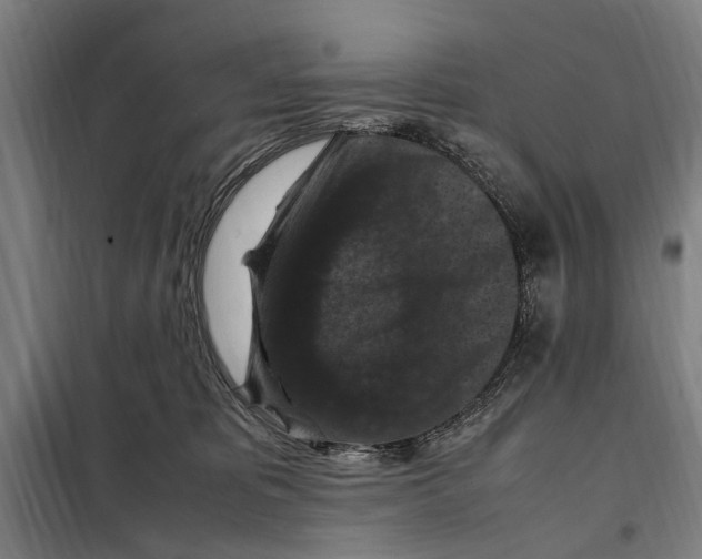 X0000098000325200804211138