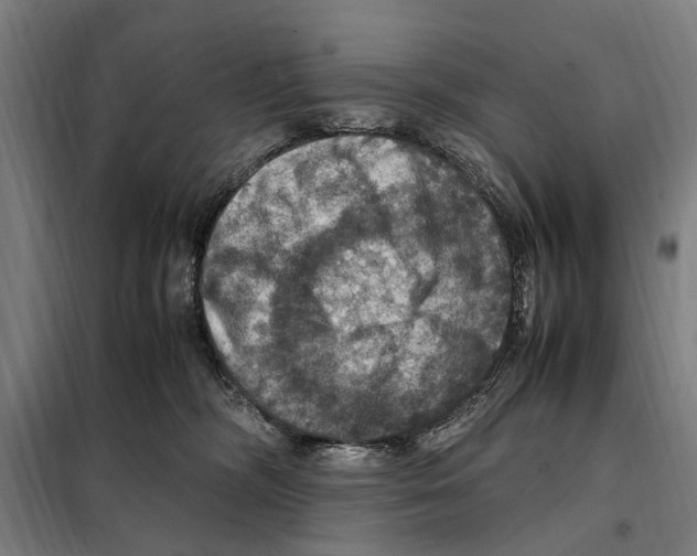 X0000098000326200804211138