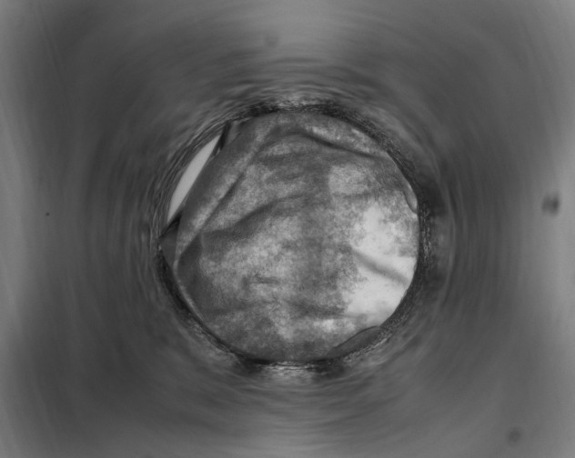 X0000098000327200804211138