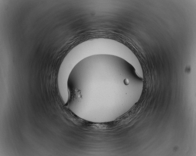 X0000098000328200804211138