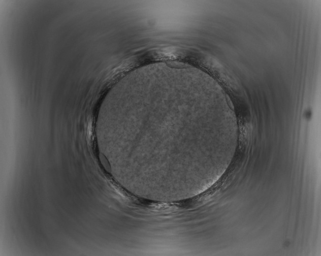X0000098000331200804211138