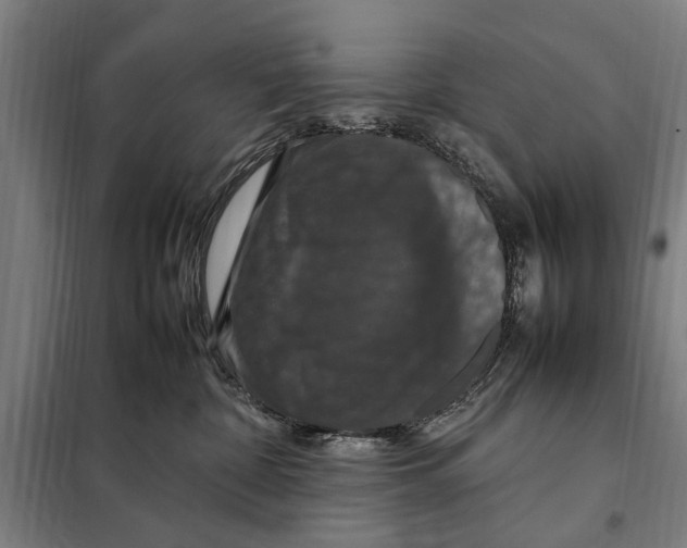 X0000098000332200804211138