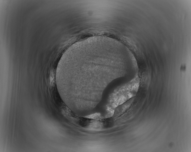 X0000098000335200804211138