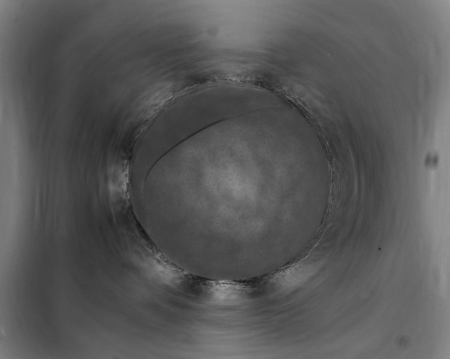 X0000098000336200804211138