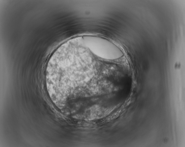 X0000098000337200804211137