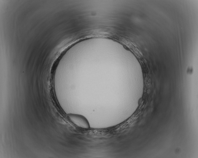 X0000098000338200804211137