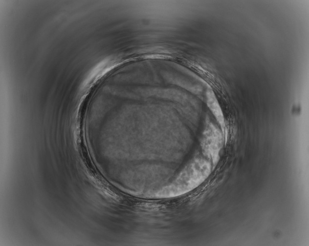 X0000098000339200804211137