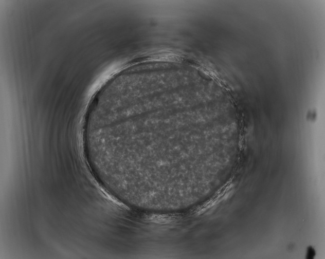 X0000098000341200804211137