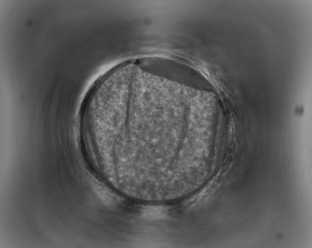 X0000098000342200804211137