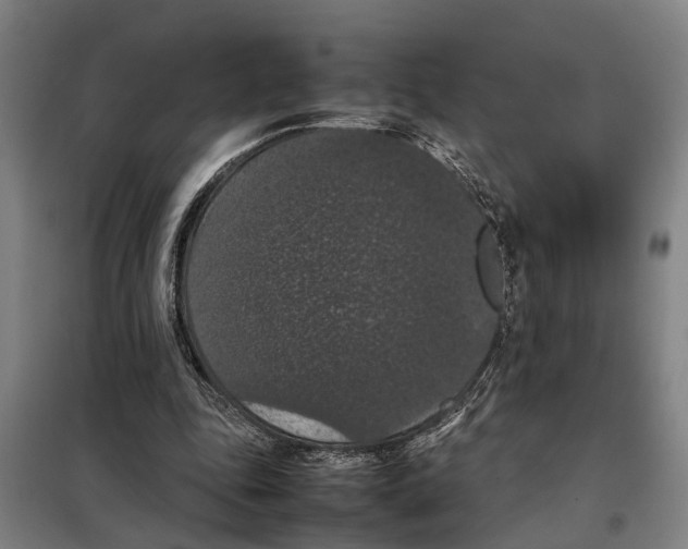X0000098000343200804211137