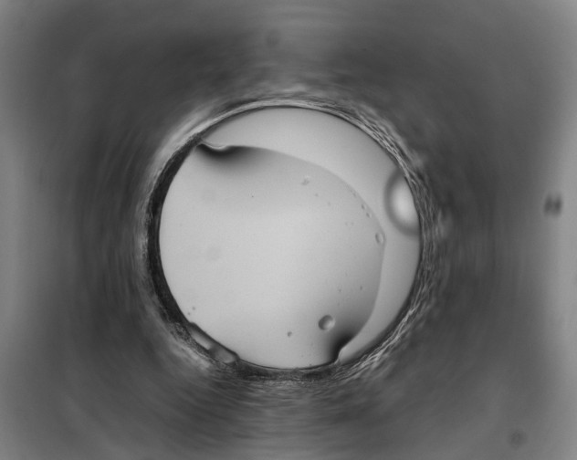 X0000098000344200804211137