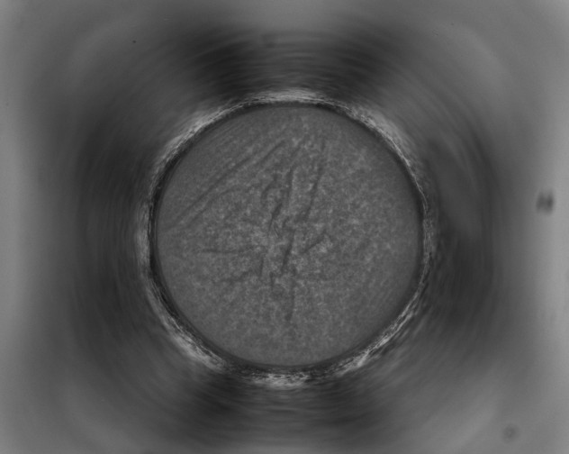 X0000098000345200804211137