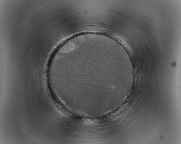 X0000098000346200804211137