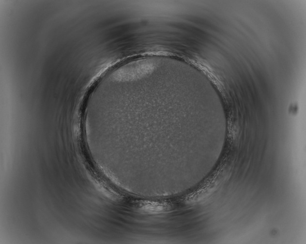 X0000098000347200804211137