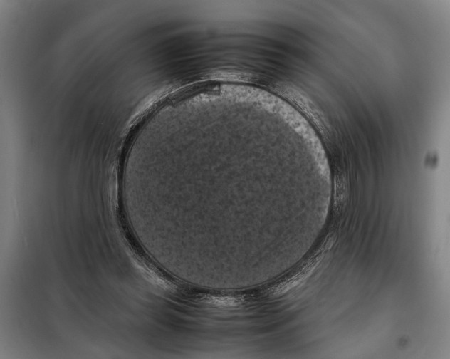 X0000098000349200804211137