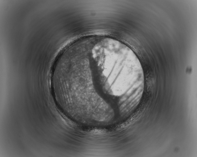 X0000098000350200804211137