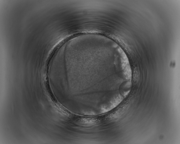 X0000098000351200804211137