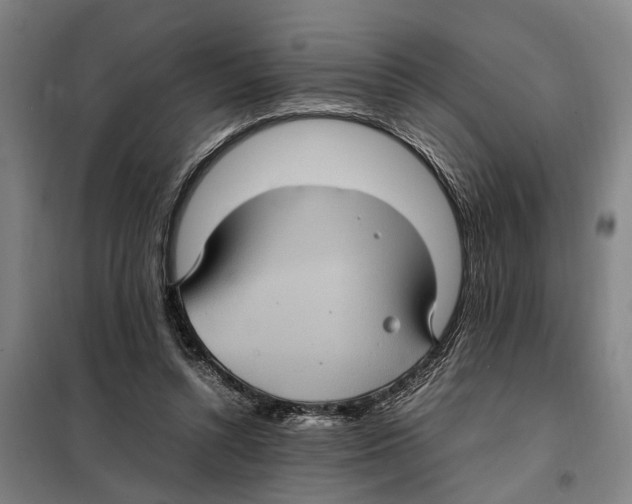X0000098000352200804211137