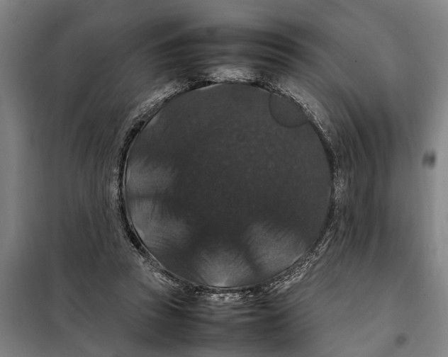 X0000098000353200804211137