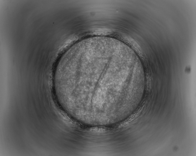 X0000098000354200804211137