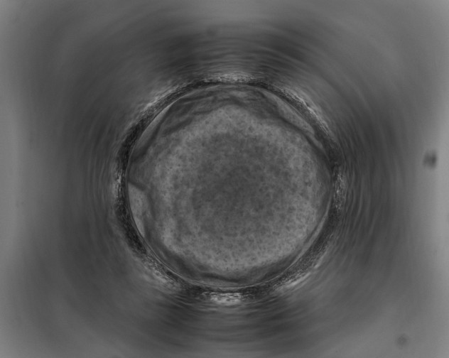 X0000098000355200804211137