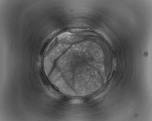 X0000098000356200804211137