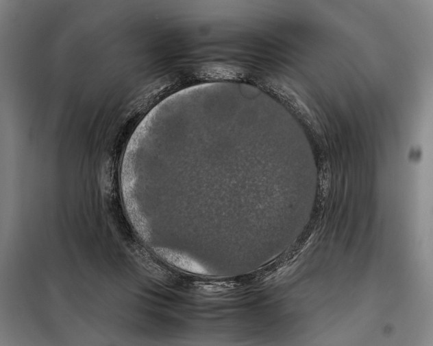 X0000098000359200804211137