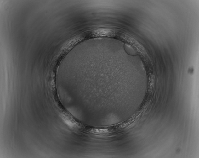 X0000098000361200804211137