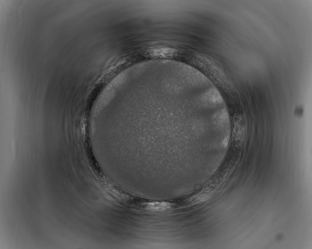 X0000098000363200804211137
