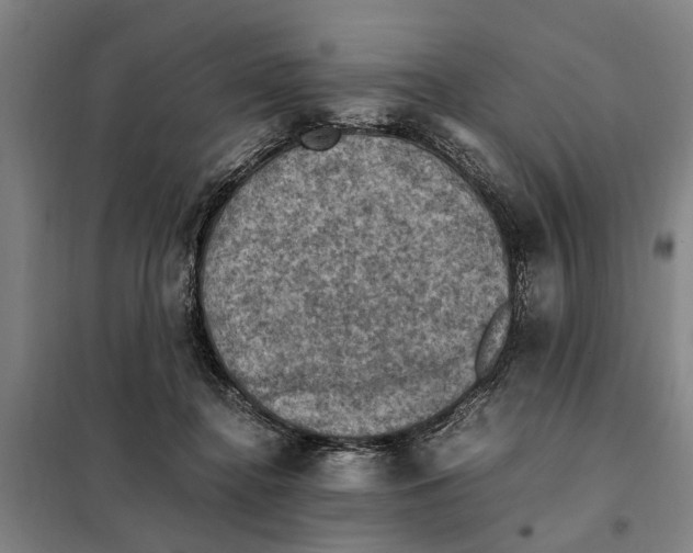 X0000098000364200804211137