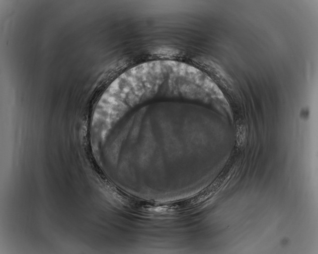 X0000098000365200804211137