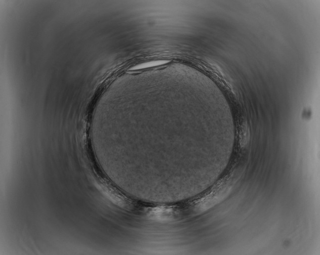 X0000098000366200804211137