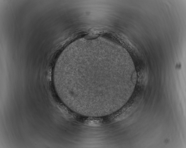 X0000098000368200804211137