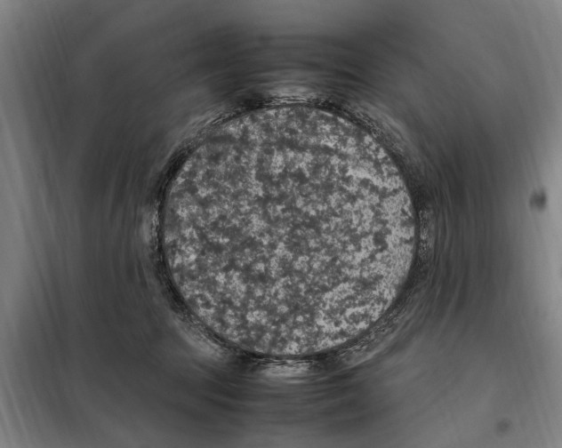 X0000098000369200804211137
