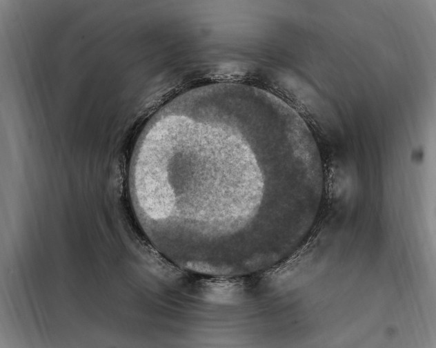 X0000098000370200804211137