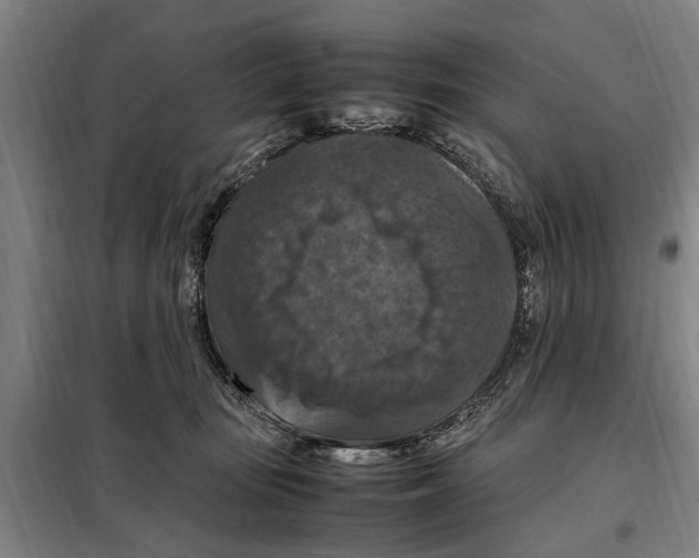 X0000098000371200804211137