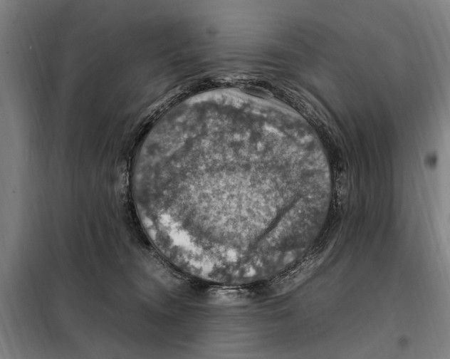 X0000098000372200804211137