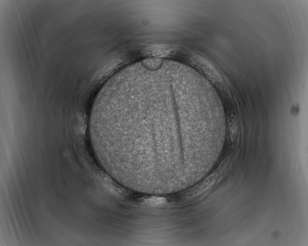 X0000098000374200804211137