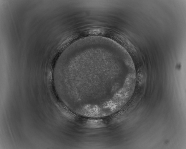 X0000098000375200804211137