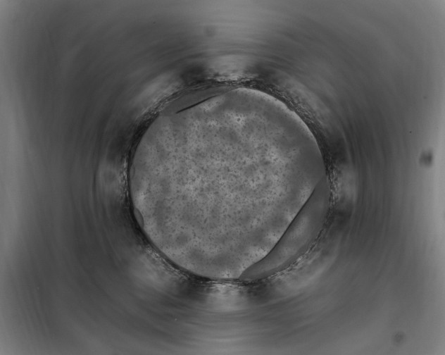 X0000098000376200804211137