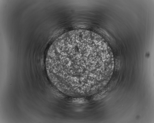 X0000098000377200804211138
