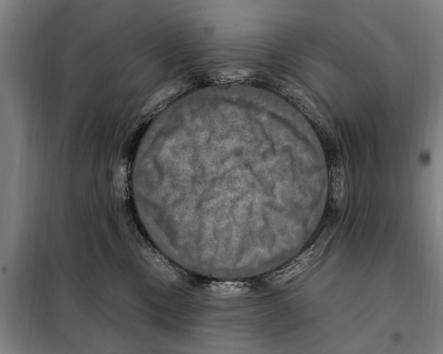 X0000098000378200804211138