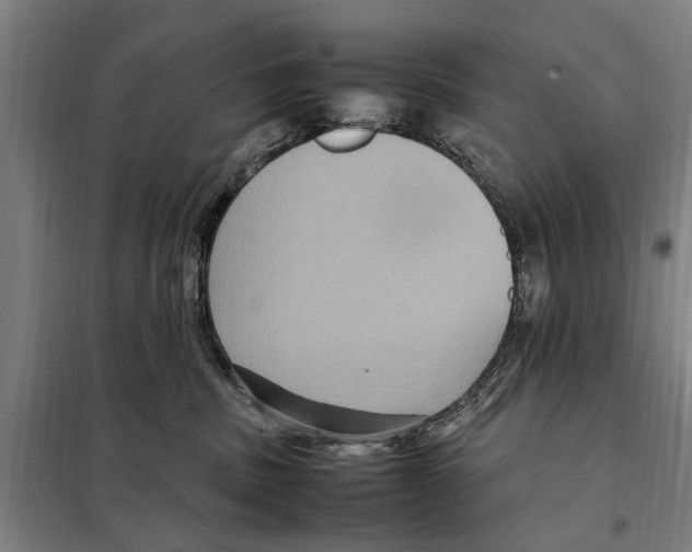 X0000098000379200804211138