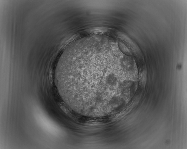 X0000098000381200804211138