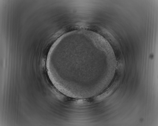 X0000098000382200804211138